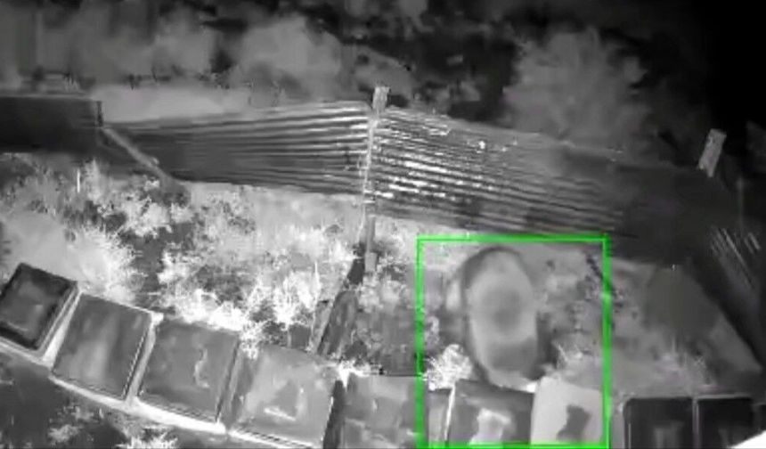 Bingöl'de Kış uykusundan kalkan ayı, kovanlara saldırdı