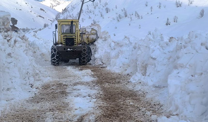 Yurda bahar geldi, Tunceli Ovacık'ta karla mücadele sürüyor