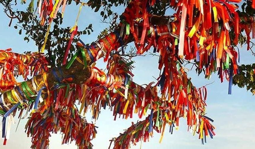 Toplum Hayatında Yüzyıllardır Süren Gizemli Etkiler