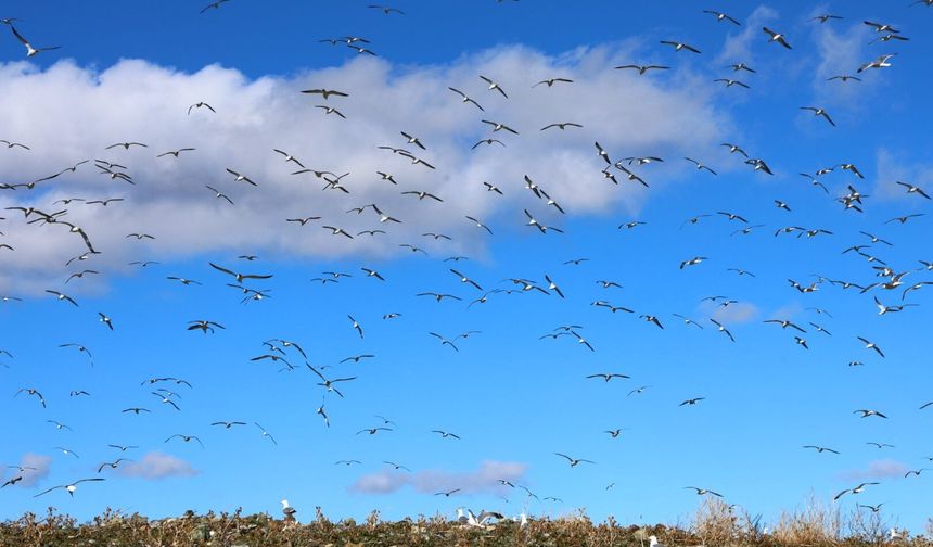 Elazığ'da Bugün Hava Nasıl Olacak? ( 23 Mayıs 2026)