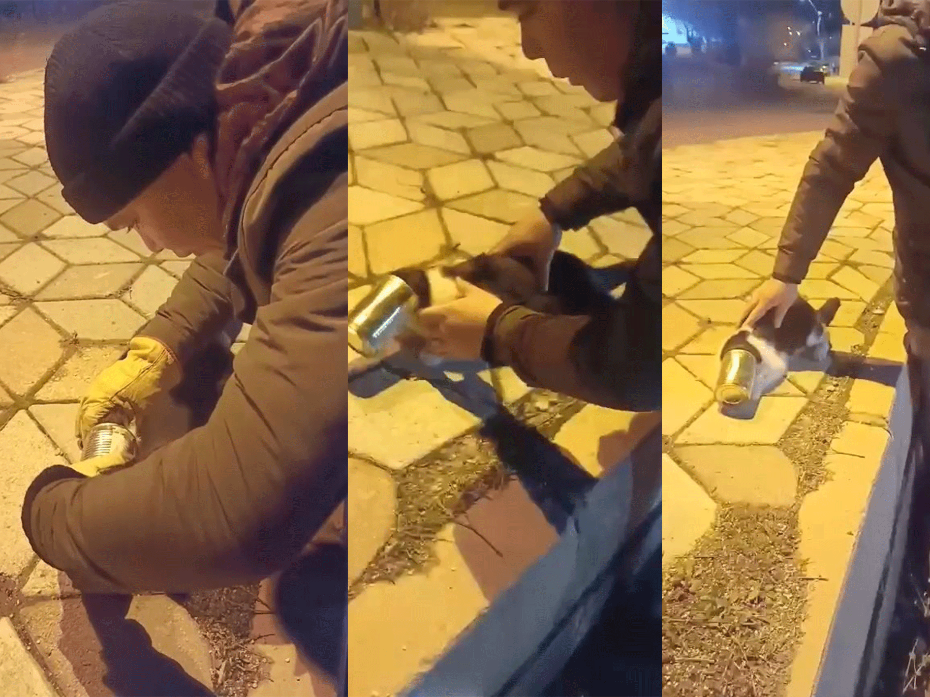 Gümüşkavak Mahallesi’nde Sıkışan Kedi Kurtarıldı