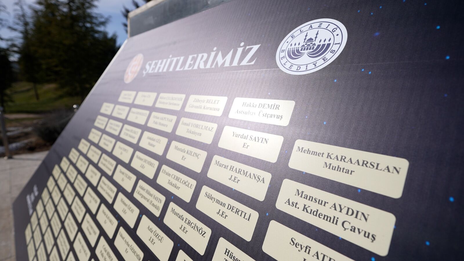 Whatsapp Image 2026 03 04 At 13.31.17