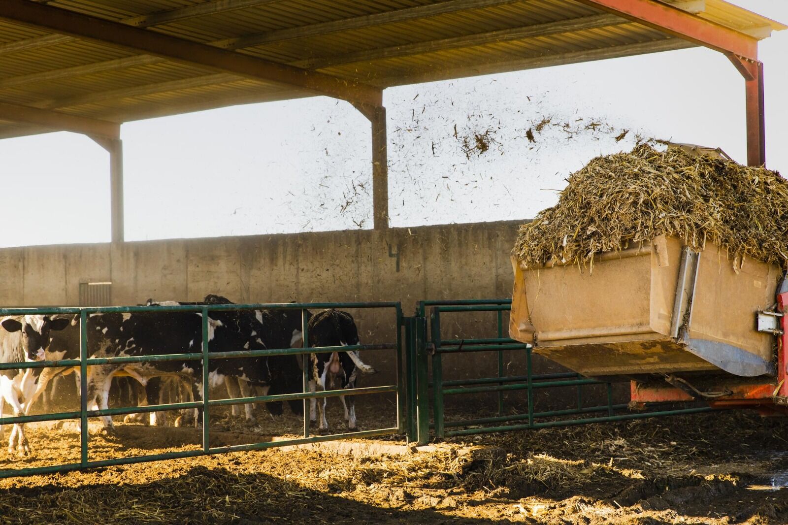 Whatsapp Image 2026 03 06 At 12.24.23