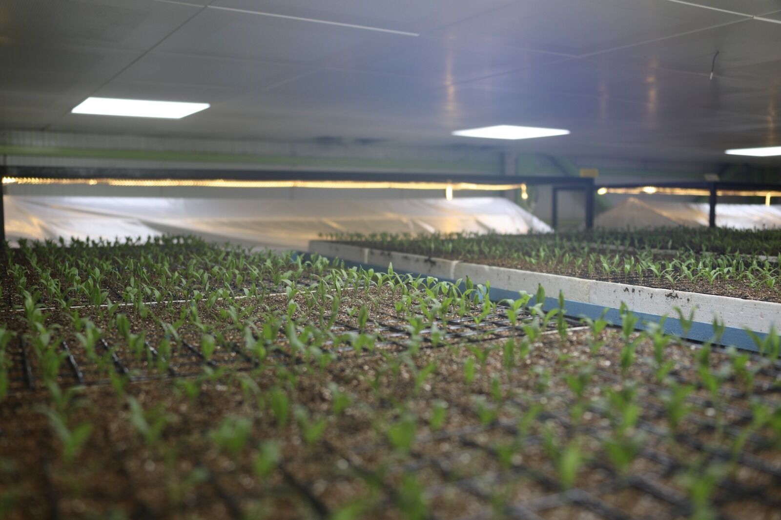 Whatsapp Image 2026 03 31 At 14.18.59 (2)