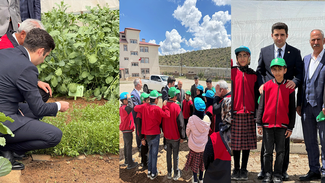 Kaymakam Yeşil Sahada İnceledi