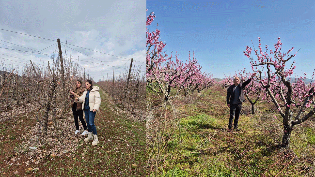 Elazığ’da meyve bahçelerinde entegre mücadele çalışması