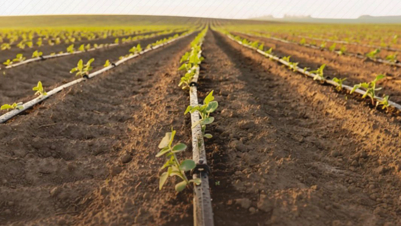 Tarımda Dev Destek!