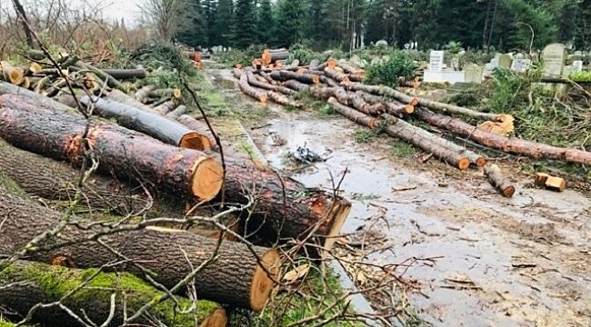 Whatsapp Image 2026 04 10 At 12.46.19 (1)