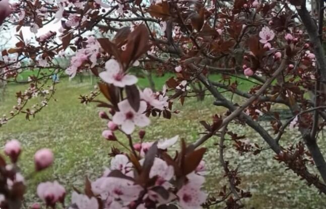 Whatsapp Image 2026 04 13 At 10.17.21