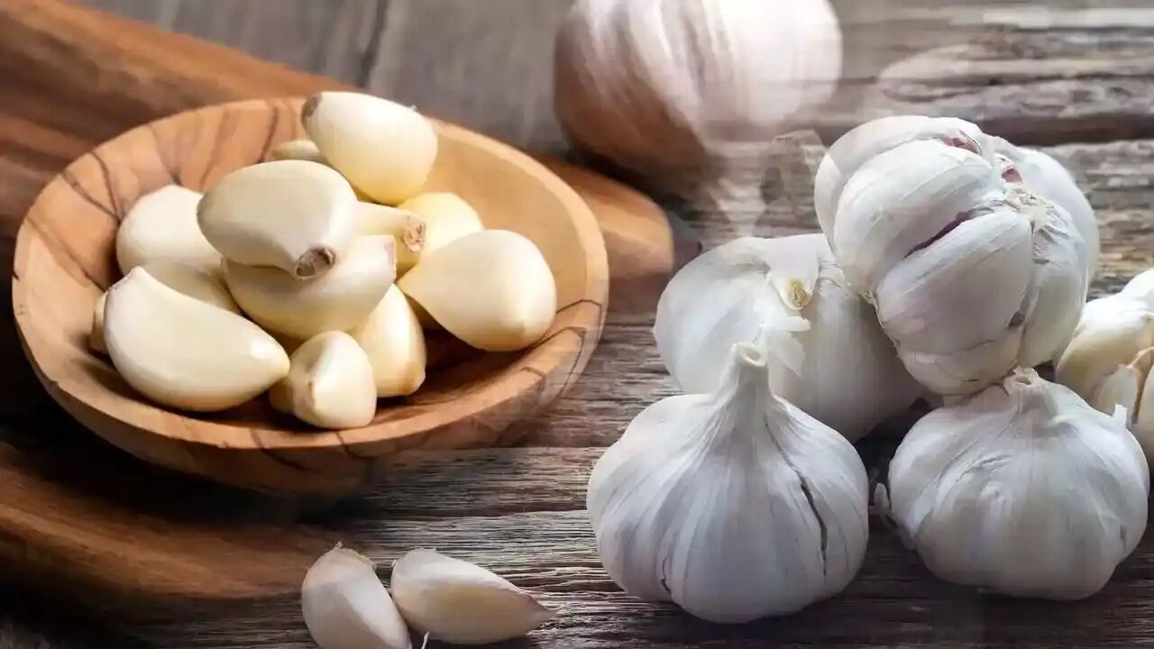 Whatsapp Image 2026 04 13 At 13.49.39