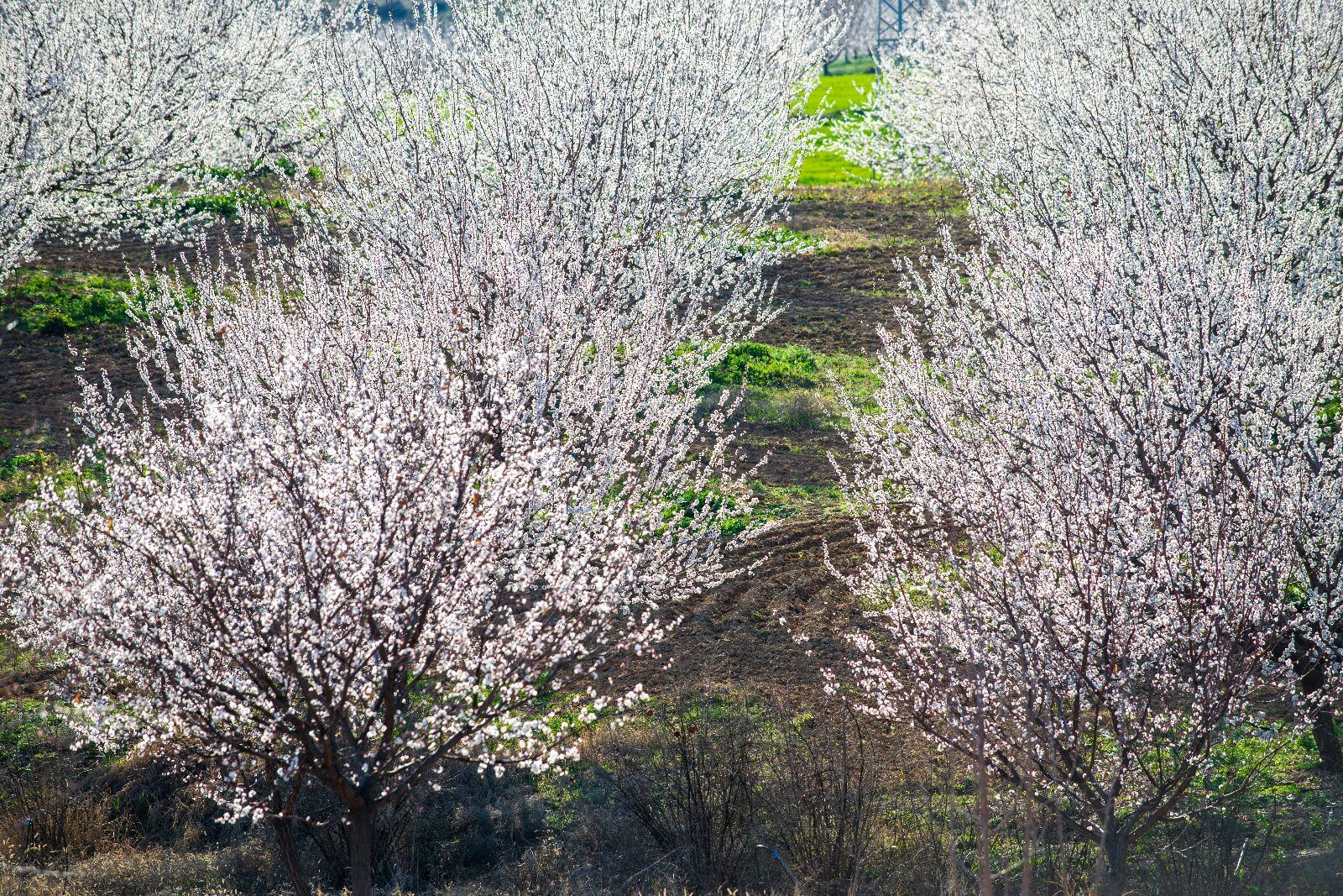 Whatsapp Image 2026 04 14 At 11.44.21