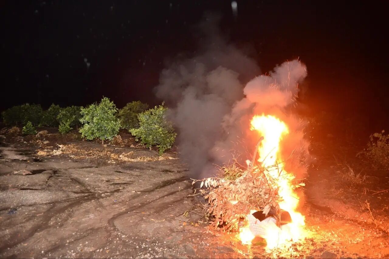 Whatsapp Image 2026 04 14 At 11.44.24