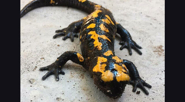 Whatsapp Image 2026 04 15 At 13.32.22