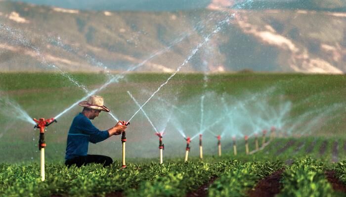 Whatsapp Image 2026 04 22 At 12.44.19 (2)