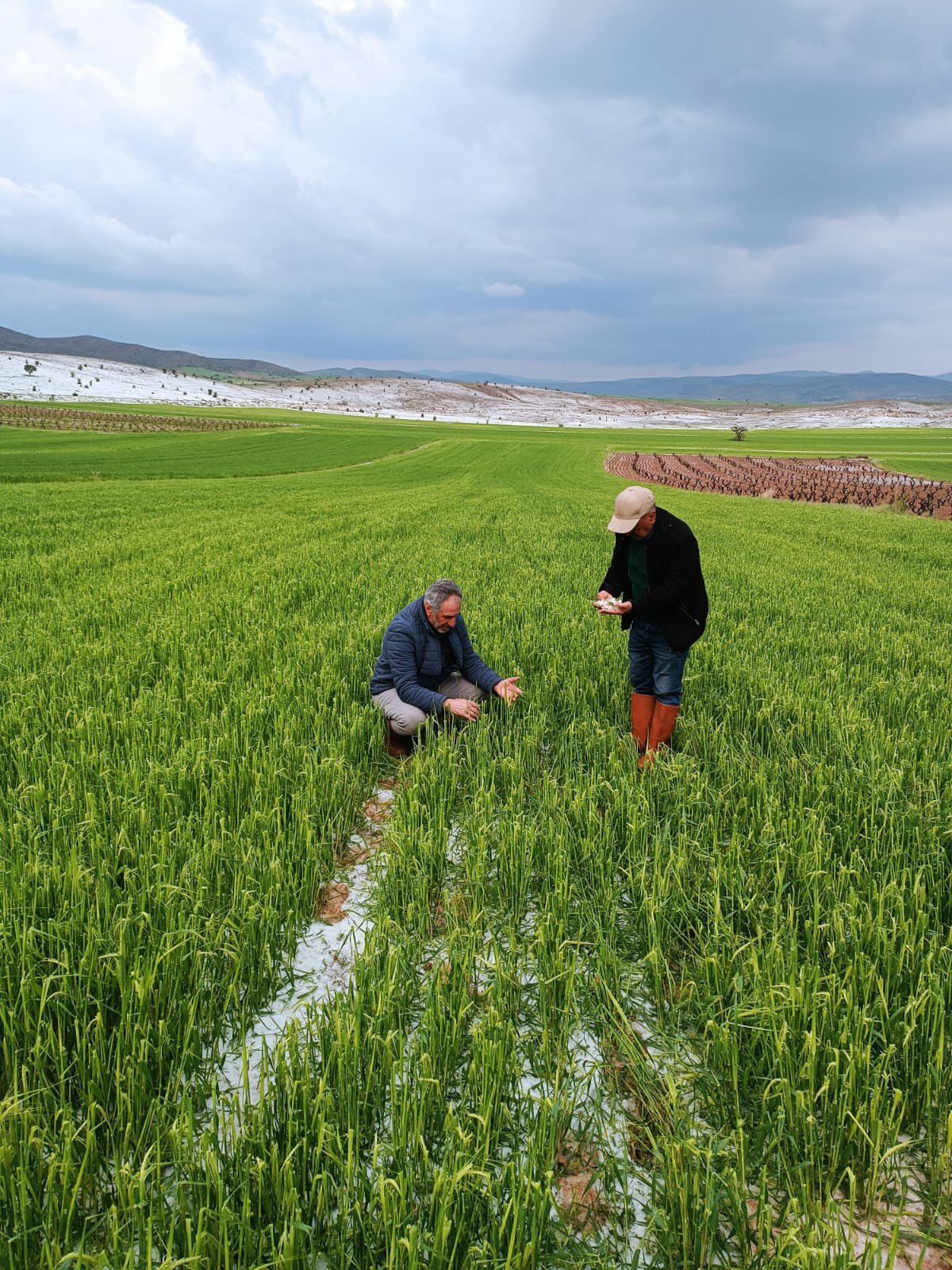 Whatsapp Image 2026 04 27 At 10.17.38 (1)