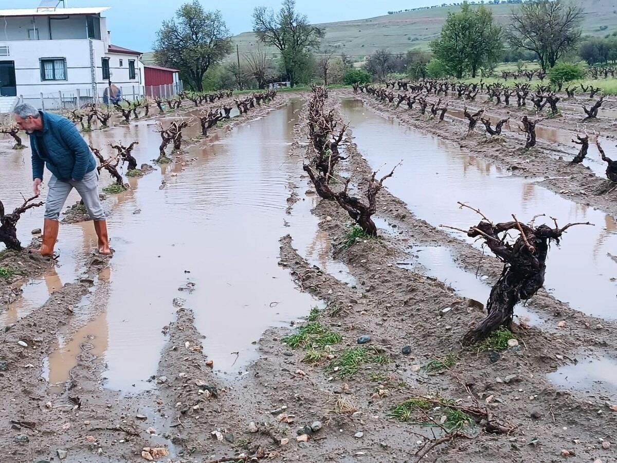 Whatsapp Image 2026 04 29 At 12.54.52