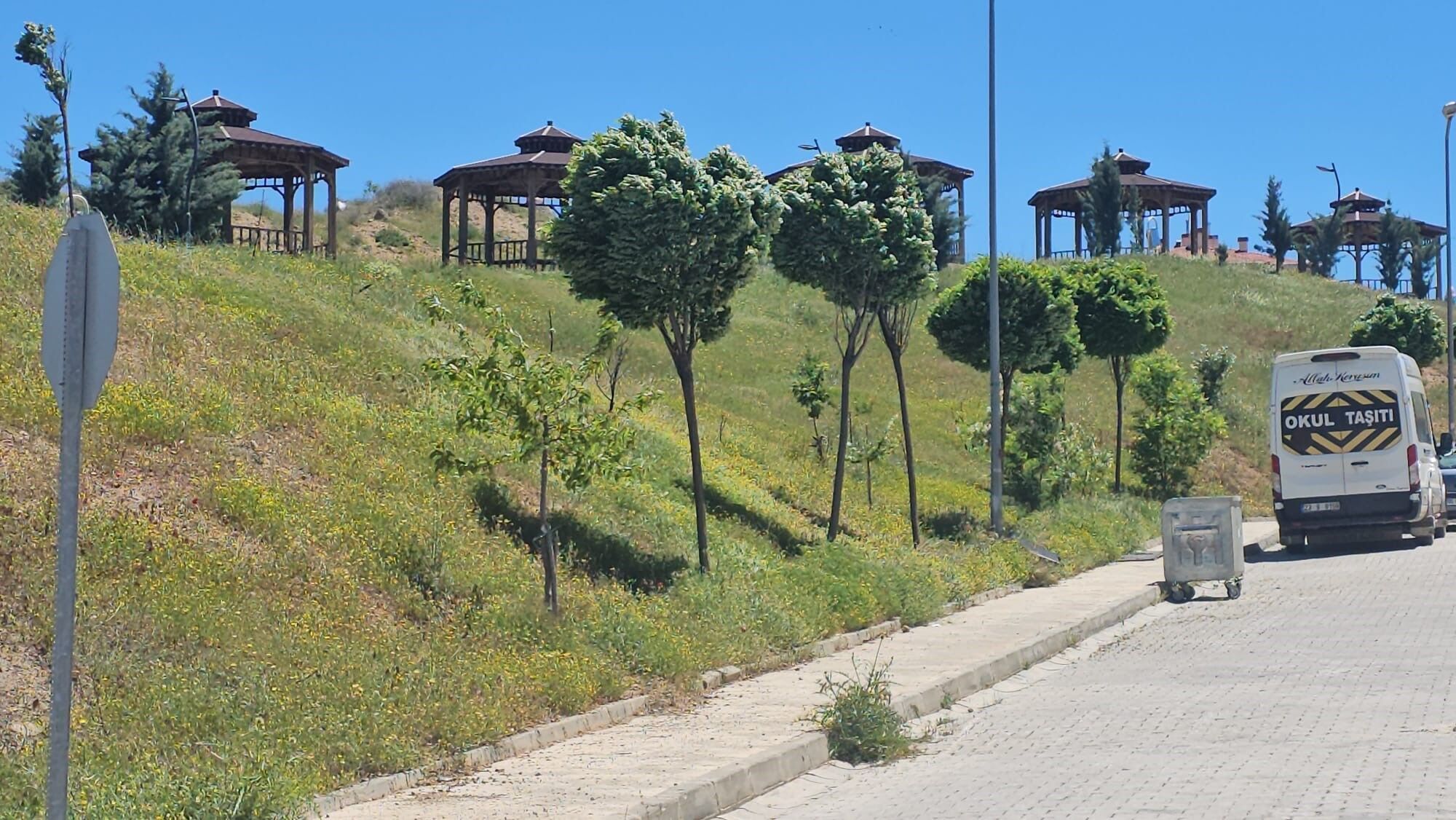 Elazığ’da şiddetli rüzgar etkili oldu